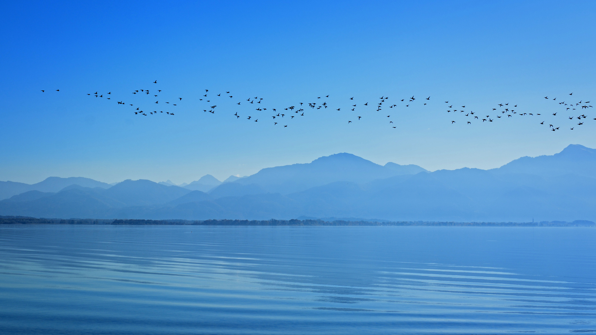 Birds Migrating Across the Lake