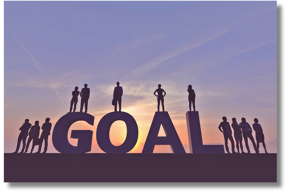 Business goal